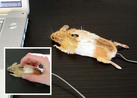 Interesting Computer Mouse Design