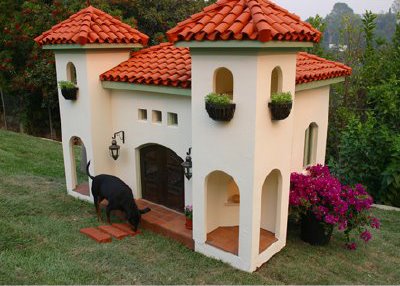 the crazy dog house