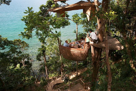 Unusual Tree Pod Restaurant in Thailand