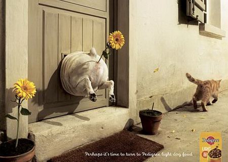 Interesting Dog Food Ads Design