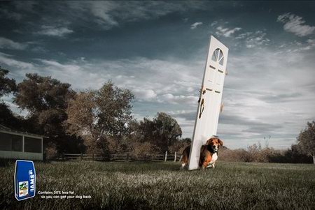 Interesting Dog Food Ads Design