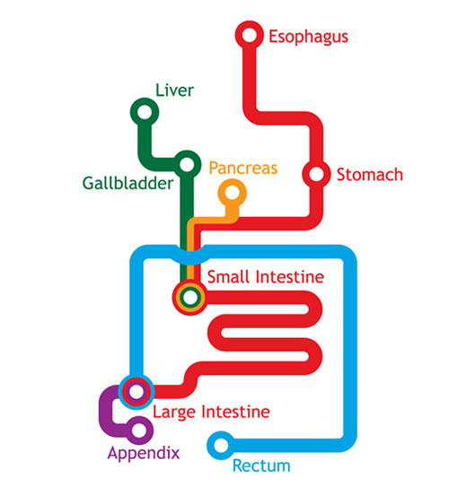 Creative Metro Map themed Design