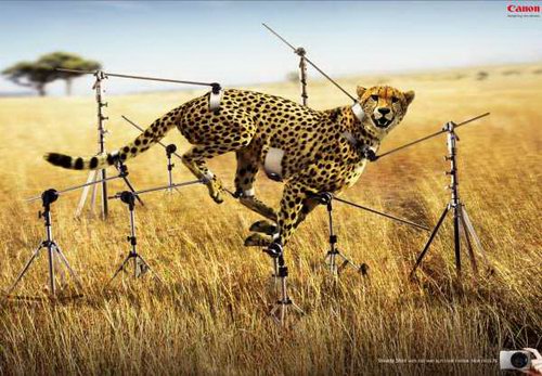 Creative Camera Advertisement Designs