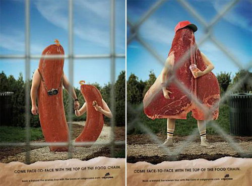 funny zoo ads collection