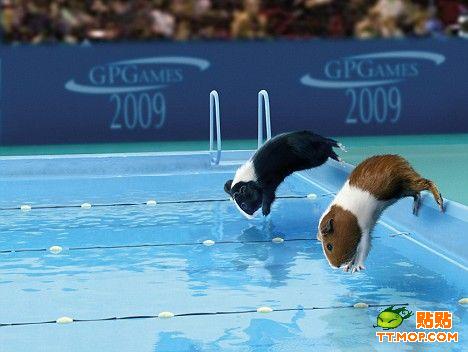 Olympics for Mouse!