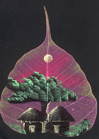 incredible leaf art