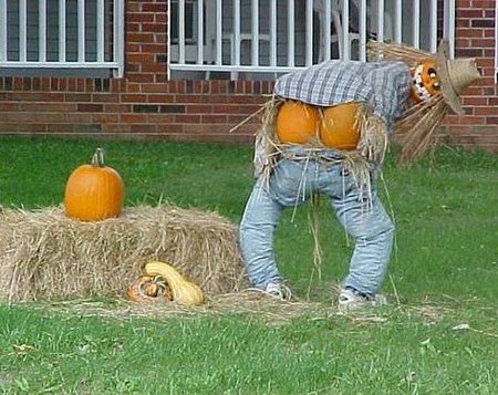 Funny Looking Scarecrows