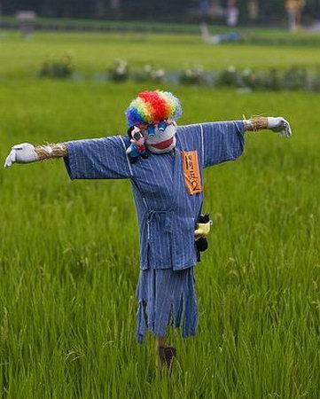 Funny Looking Scarecrows