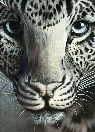 Amazing Body Painting Art by Craig Tracy