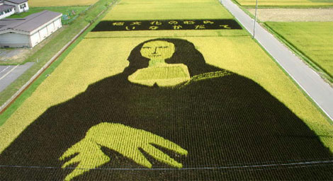 Tofu Lisa, Sausage Lisa, Red Bull Lisa - 12 creative ways to reproduce Mona Lisa