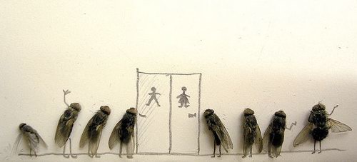 Weird and Unusual Art about Dead Flies