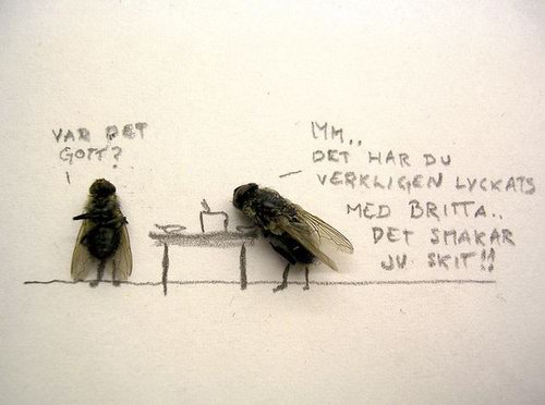 Weird and Unusual Art about Dead Flies