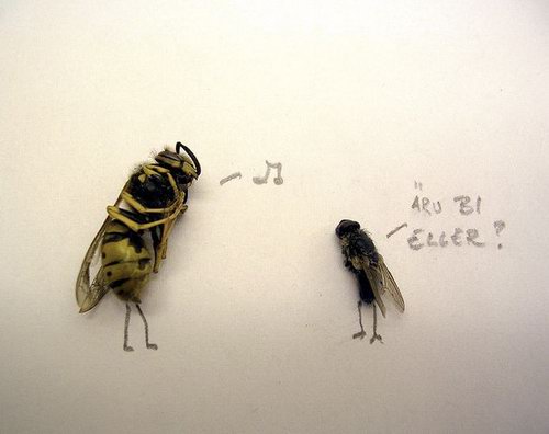 Weird and Unusual Art about Dead Flies