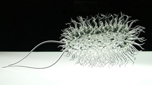 Incredible Glass Microbiology Sculptures