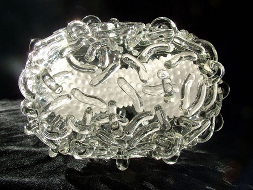 Incredible Glass Microbiology Sculptures