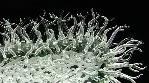 Incredible Glass Microbiology Sculptures