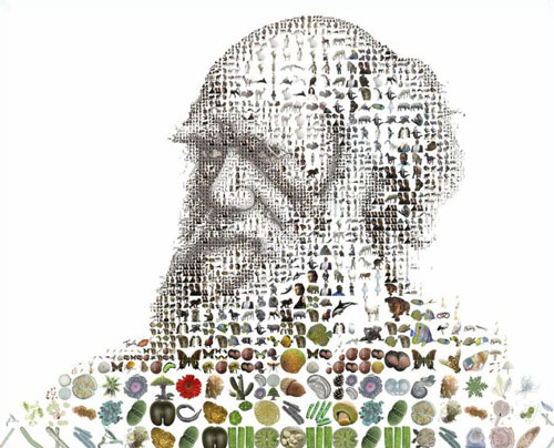 Amazing Mosaics Collage from Tsevis