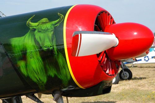 aircraft nose art