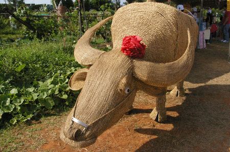 Amazing Straw Art from China