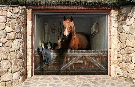 Awesome Looking Garage Door Design Swan