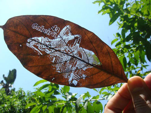 Designing Naturally - Creative Leaf Business Card