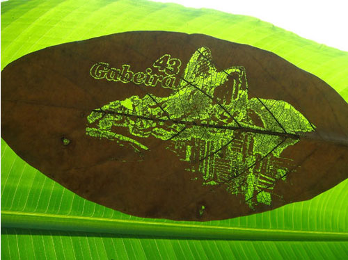 Designing Naturally - Creative Leaf Business Card