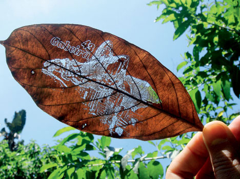 Designing Naturally - Creative Leaf Business Card