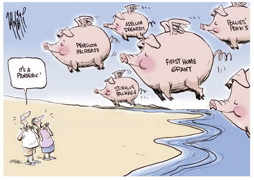 Swine Flu Humor