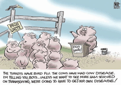 Swine Flu Humor