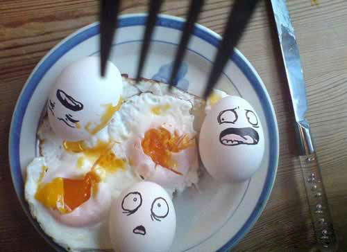 All about finger: If Egg Like Human...Funny Photo of Egg Faces