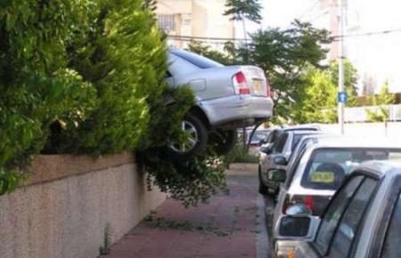 funny pictures of skillful parking