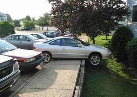 funny pictures of skillful parking