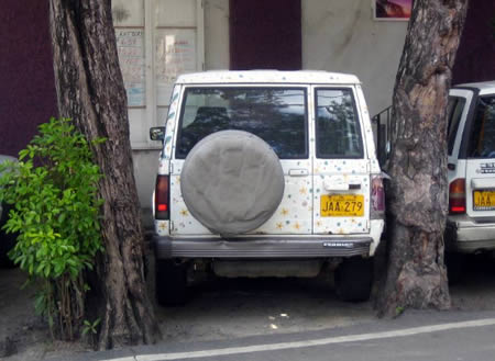 funny pictures of skillful parking