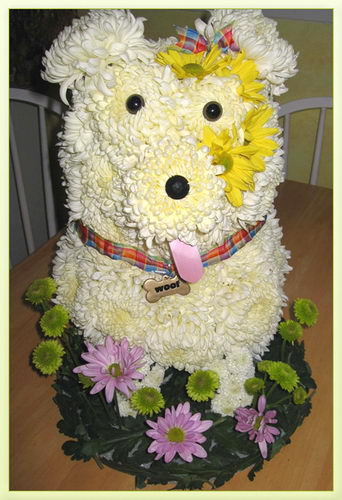 Lovely Flower Dog