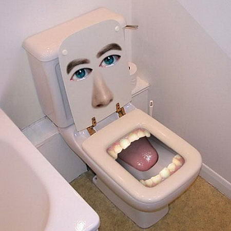 unusual washroom toilet design