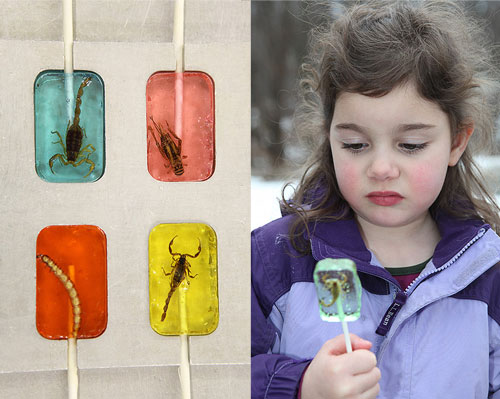 Sweet Lover? How About Insect Candy?