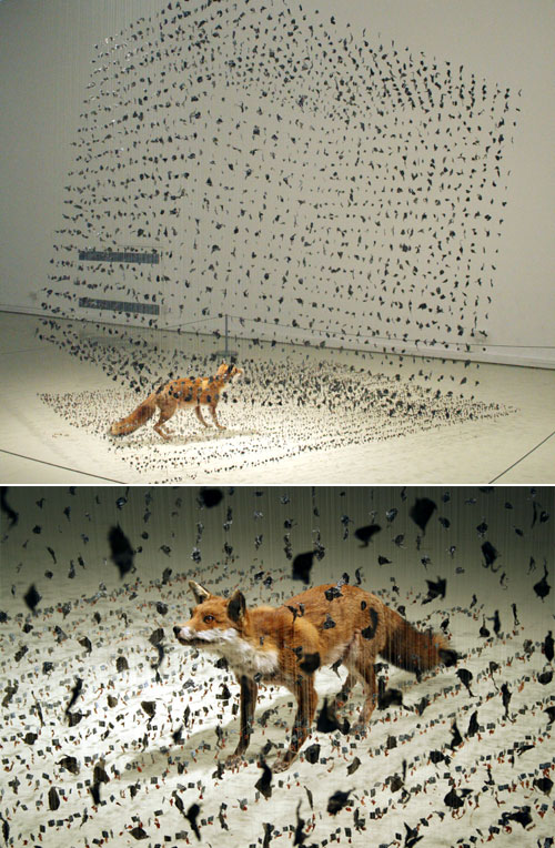 Floating Animal Sculptures from Claire Morgan