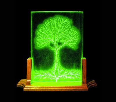 Capture Lightning - Lichtenberg Figures