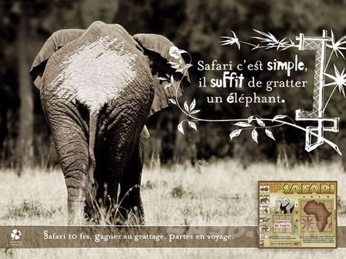 safari trip is simple, just scratch!