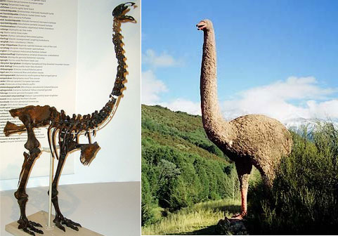 If they are still there... 10 Giant Extinct Monsters - Design Swan