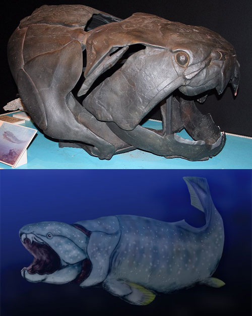 Dunkleosteus