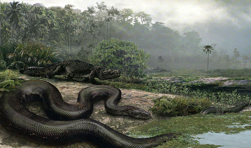 Titanoboa