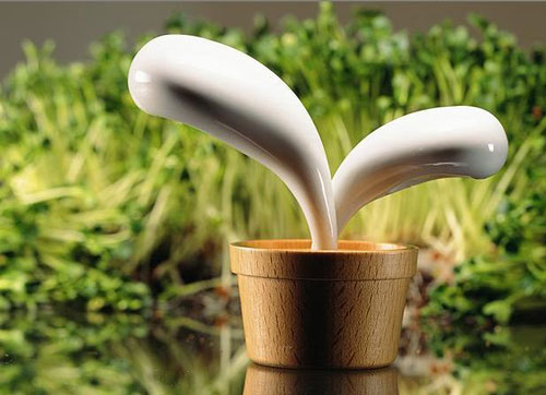 20 Creative and Stylish Salt and Pepper Shakers 