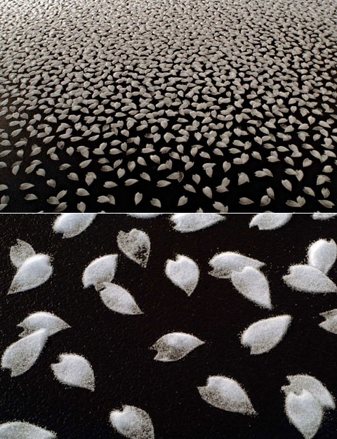 Artwork Using Salt From Motoi Yamamoto