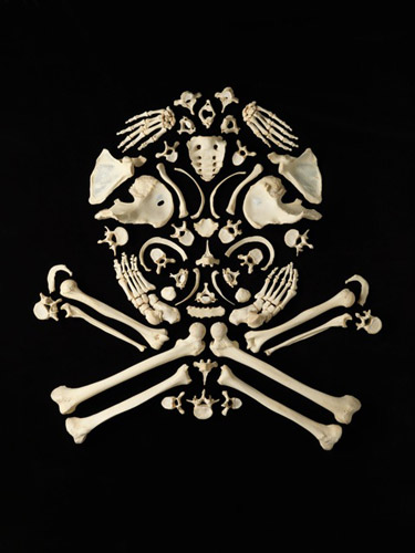 Incredible Art Made From Real Human Bones