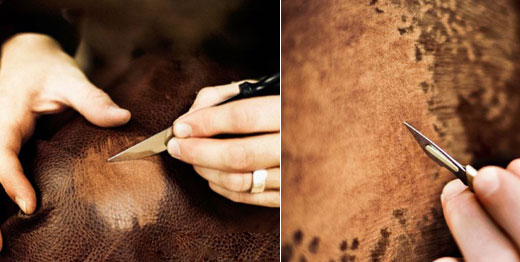 Etched Animal Skin Art