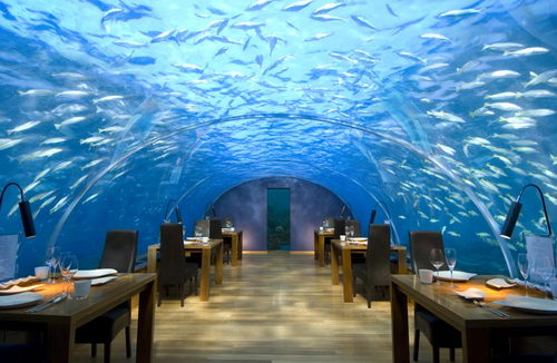 Ithaa: Fabulous Underwater Restaurant as well as Hotel in Maldives