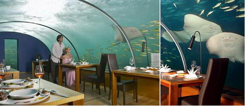 Ithaa: Fabulous Underwater Restaurant as well as Hotel in Maldives