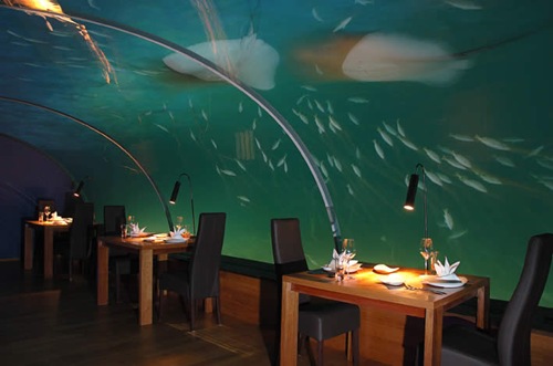 Ithaa: Fabulous Underwater Restaurant as well as Hotel in Maldives