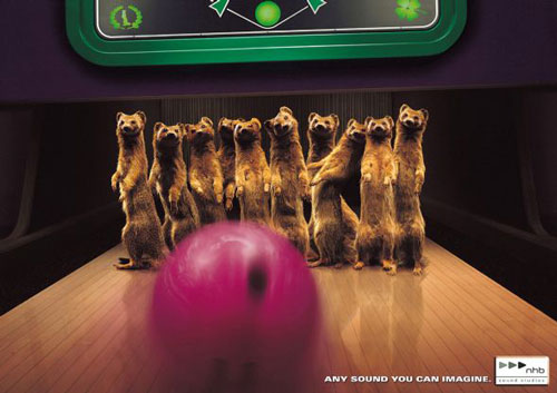 NHB sound studios: Mongoose bowling